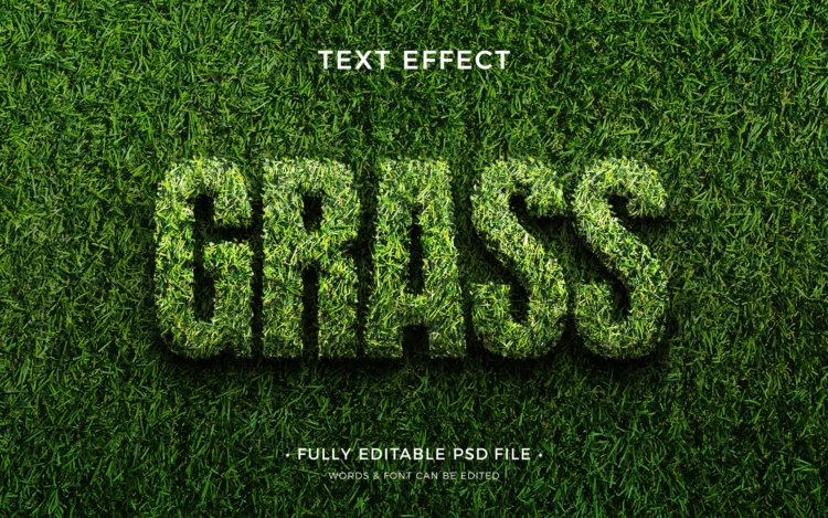 text style psd